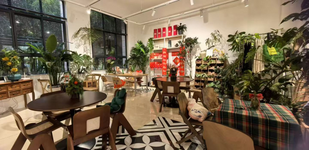 微信图片_20251226123534_188_4